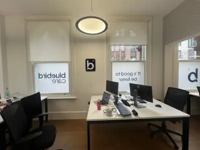 Bluebird Care office window frosting and navy acrylic bird-logo wall sign above desks