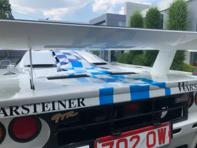 Blue checkered engine deck and Warsteiner rear wing graphics on white McLaren F1 GTR