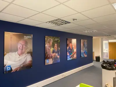 Bluebird Care photo panels mounted on a blue office wall showing carers and clients