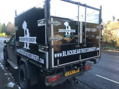 Black Bear Tree Surgery black pickup tipper with white logo livery, rear and side view