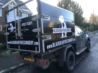 Black Bear Tree Surgery black pickup tipper with white logo and website graphics