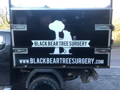 Black Bear Tree Surgery white tree-and-bear logo on a black tipper truck rear panel