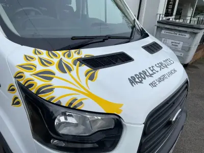 Yellow and grey tree bonnet graphic with Arborlec Services tree surgery lettering on a white van