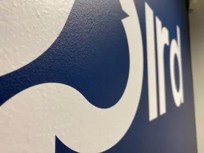 Close-up of navy Bluebird Care bird logo cut vinyl on a textured white wall